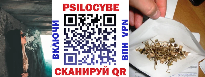 Псилоцибиновые грибы Cubensis  что такое наркотик  Сельцо 